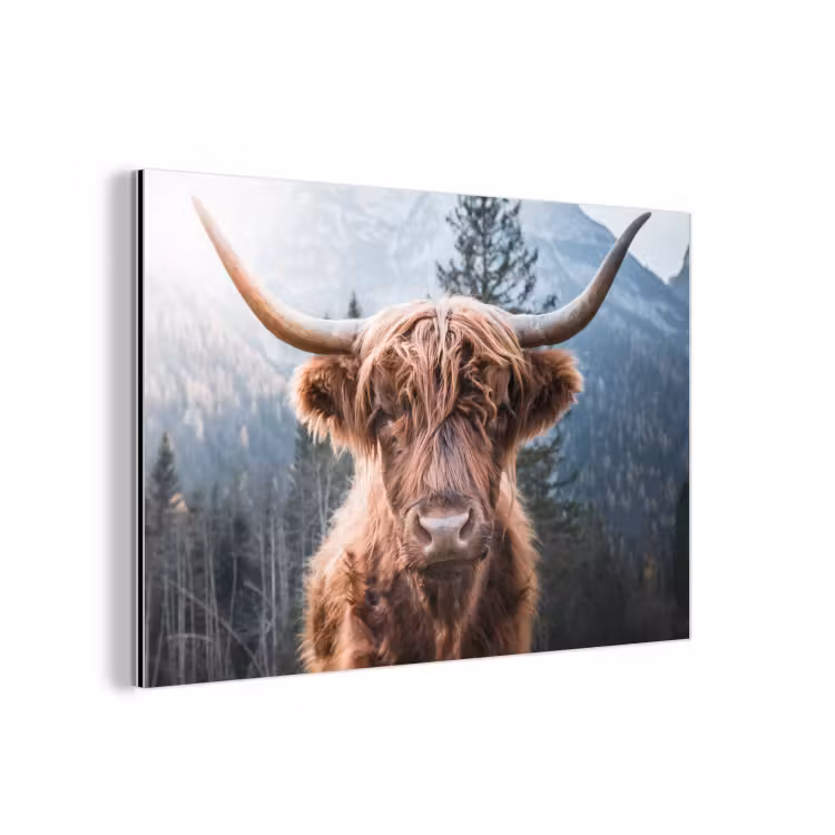 Schotse hooglander - Koe - Dieren - Berg - Natuur aluminium wit klein -3d