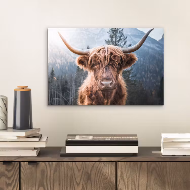 Schotse hooglander - Koe - Dieren - Berg - Natuur aluminium wit klein -sfeer1