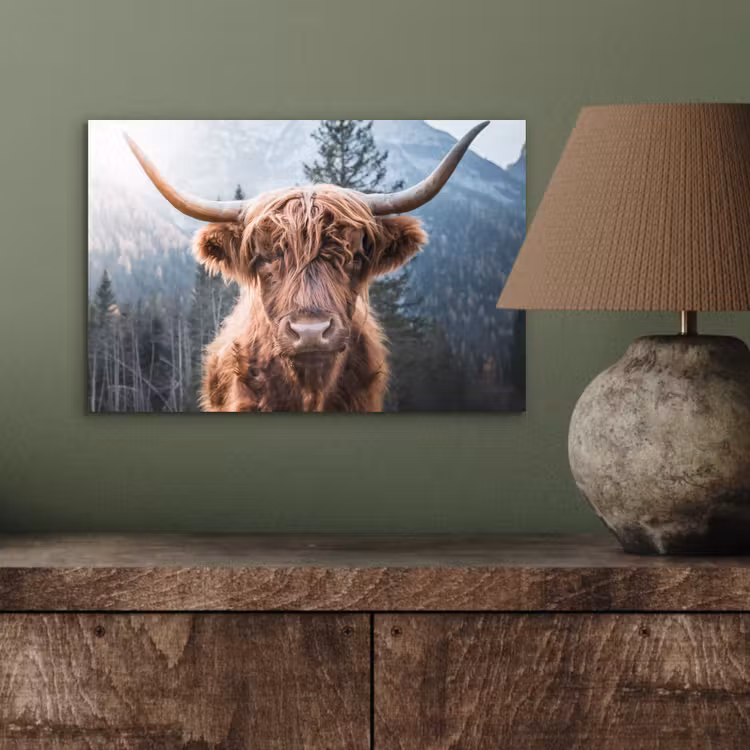 Schotse hooglander - Koe - Dieren - Berg - Natuur aluminium wit klein -sfeer2