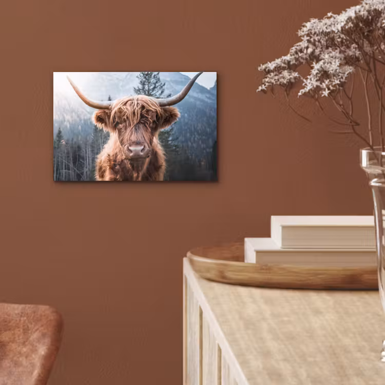 Schotse hooglander - Koe - Dieren - Berg - Natuur aluminium wit klein -sfeer4