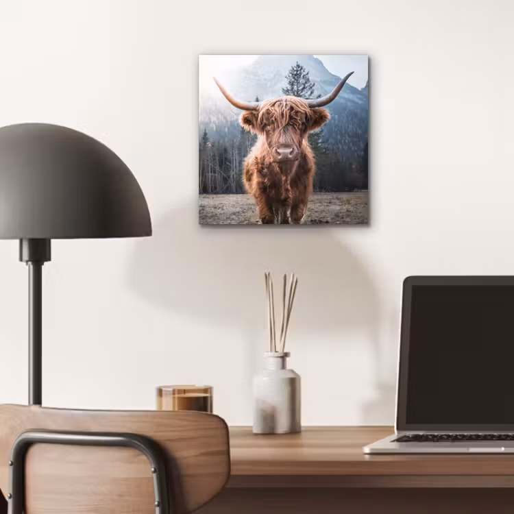 Schotse hooglander - Koe - Dieren - Berg - Natuur aluminium wit klein -sfeer5