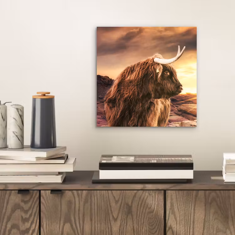 Schotse hooglander - Zon - Horizon - Koe - Dieren aluminium wit klein -sfeer1