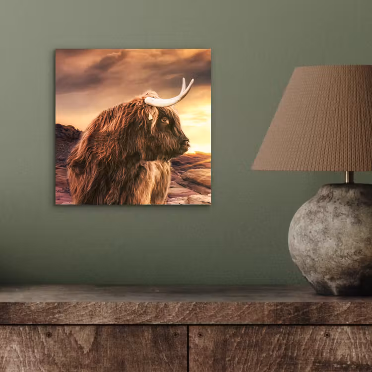 Schotse hooglander - Zon - Horizon - Koe - Dieren aluminium wit klein -sfeer2