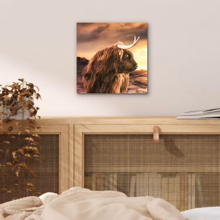 Schotse hooglander - Zon - Horizon - Koe - Dieren aluminium wit klein -sfeer3