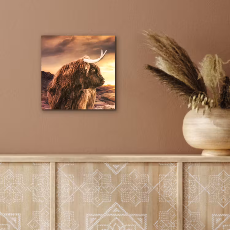 Schotse hooglander - Zon - Horizon - Koe - Dieren aluminium wit klein -sfeer4