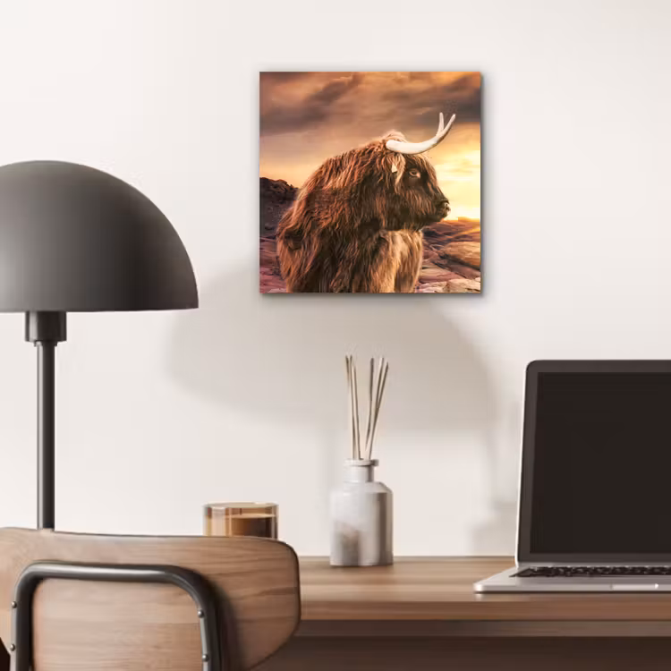 Schotse hooglander - Zon - Horizon - Koe - Dieren aluminium wit klein -sfeer5