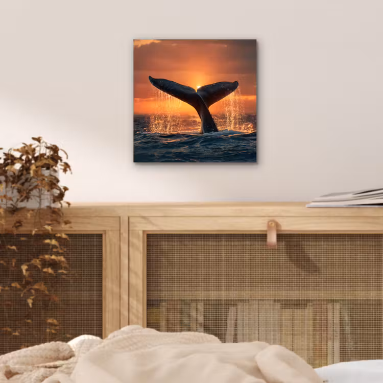 Walvis staart - Water - Zonsondergang aluminium wit klein -sfeer3