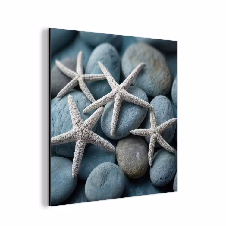 Zeesterren - Stenen - Wit aluminium wit klein -3d