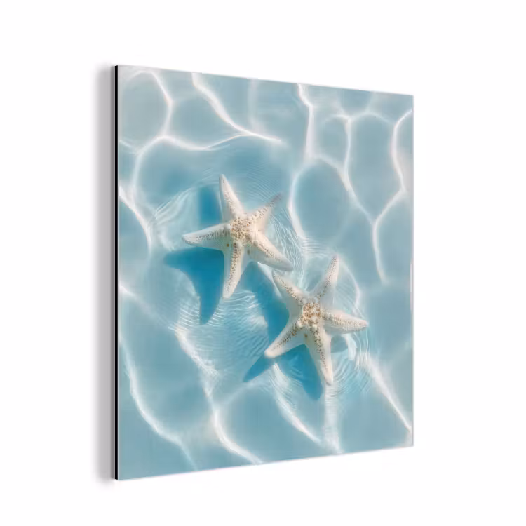 Zeesterren - Golvend water - Rustgevend aluminium wit klein -3d
