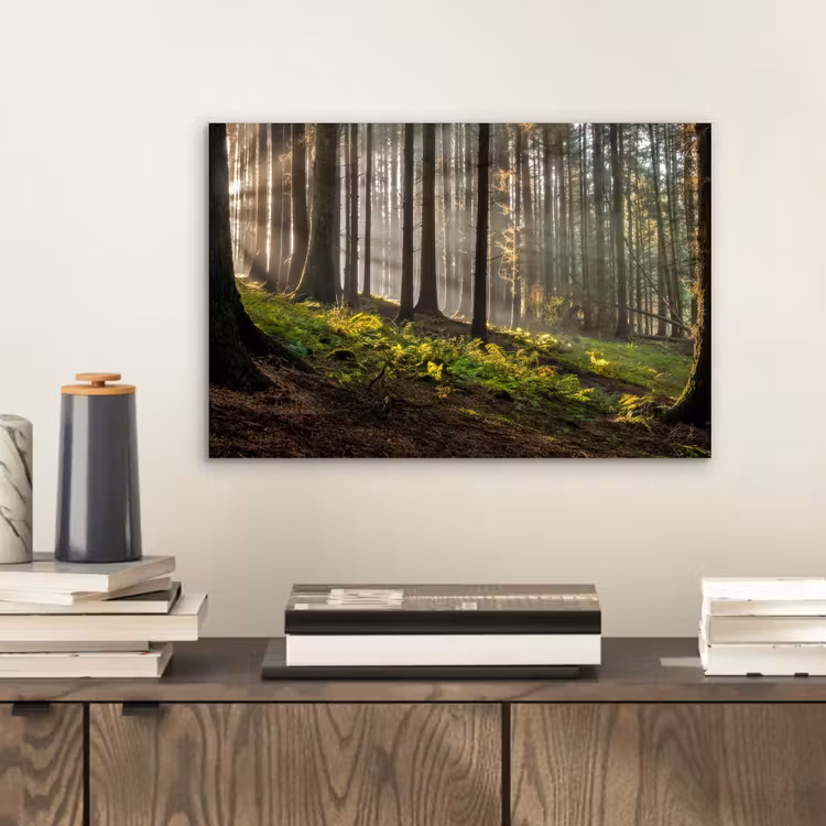 Zon - Takken - Bomen - Bos - Natuur aluminium wit klein -sfeer1