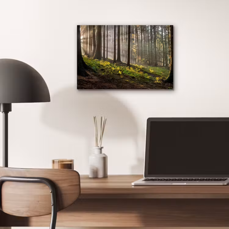Zon - Takken - Bomen - Bos - Natuur aluminium wit klein -sfeer5