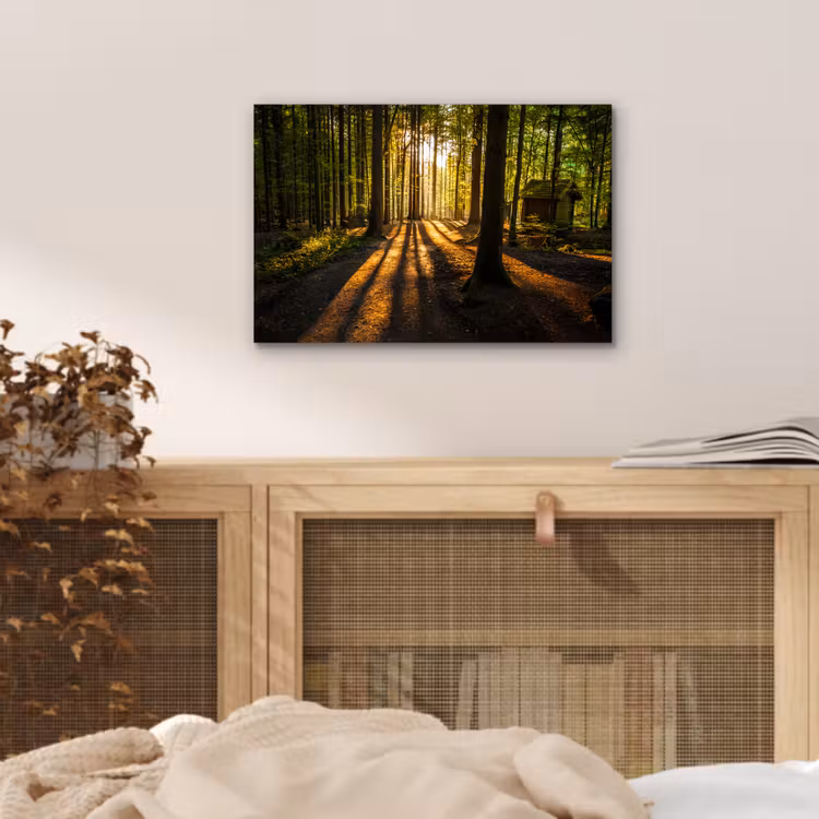 Zon - Bomen - Bos - Landschap - Natuur aluminium wit klein -sfeer3