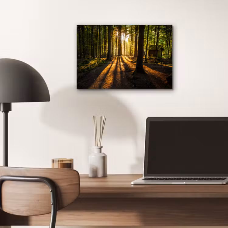 Zon - Bomen - Bos - Landschap - Natuur aluminium wit klein -sfeer5