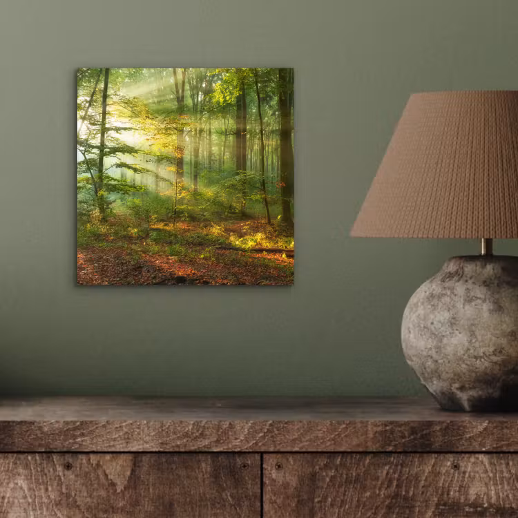 Zon - Bos - Bomen - Natuur - Herfst aluminium wit klein -sfeer2