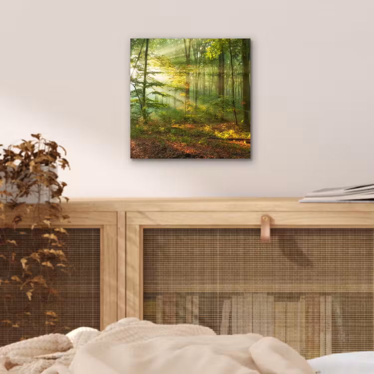 Zon - Bos - Bomen - Natuur - Herfst aluminium wit klein -sfeer3