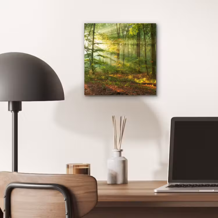 Zon - Bos - Bomen - Natuur - Herfst aluminium wit klein -sfeer5