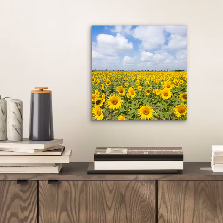 Zonnebloemen - Bloemen - Wolken - Natuur - Geel - Landschap aluminium wit klein -sfeer1