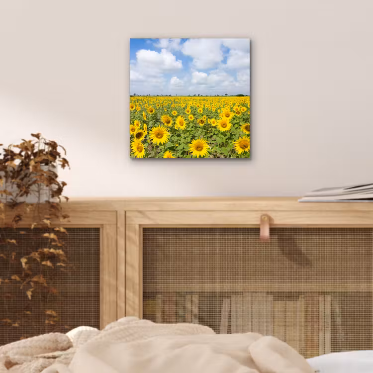 Zonnebloemen - Bloemen - Wolken - Natuur - Geel - Landschap aluminium wit klein -sfeer3