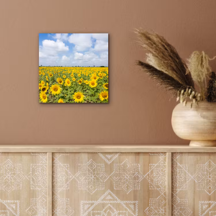 Zonnebloemen - Bloemen - Wolken - Natuur - Geel - Landschap aluminium wit klein -sfeer4