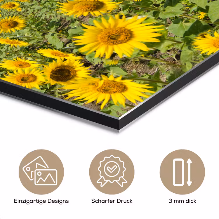 Zonnebloemen - Bloemen - Wolken - Natuur - Geel - Landschap aluminium wit klein -closeup_DE