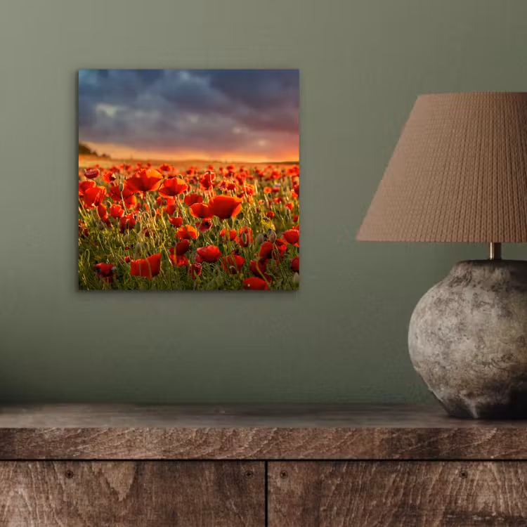Zonsondergang - Klaprozen - Rood - Bloemen - Veld - Natuur aluminium wit klein -sfeer2