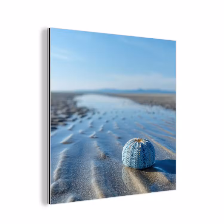 Strand - Schild - Water - Blauw aluminium wit klein -3d