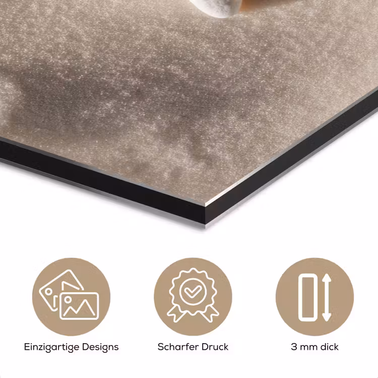 Strand - Zeester - Zand - Beige aluminium wit klein -closeup_DE