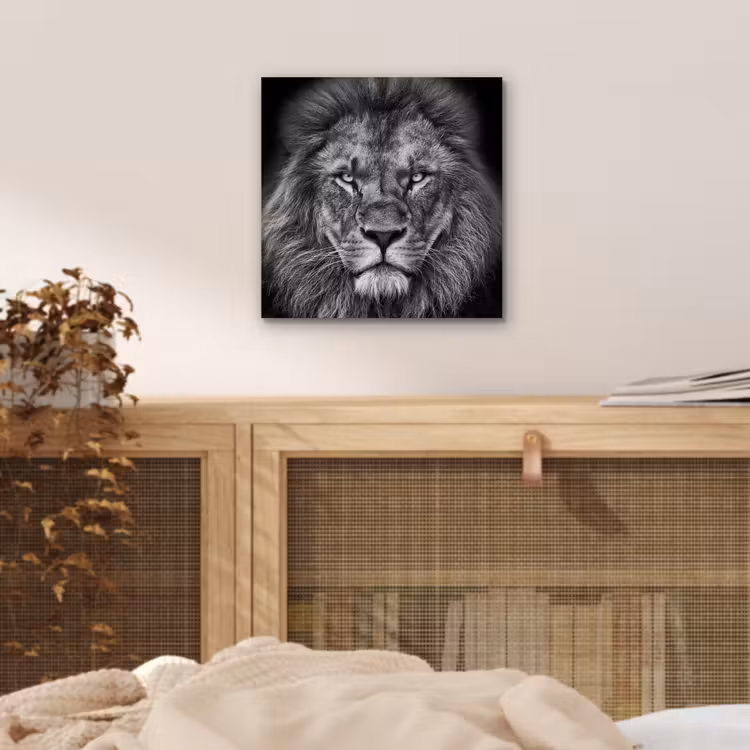 Dieren - Leeuw - Zwart - Wit - Portret aluminium wit klein -sfeer3