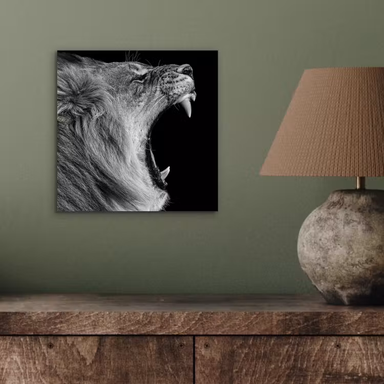 Dieren - Leeuw - Zwart - Wit - Portret aluminium wit klein -sfeer2