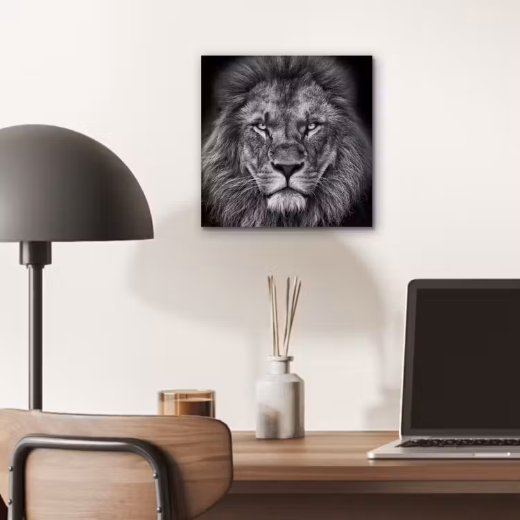 Dieren - Leeuw - Zwart - Wit - Portret aluminium wit klein -sfeer5