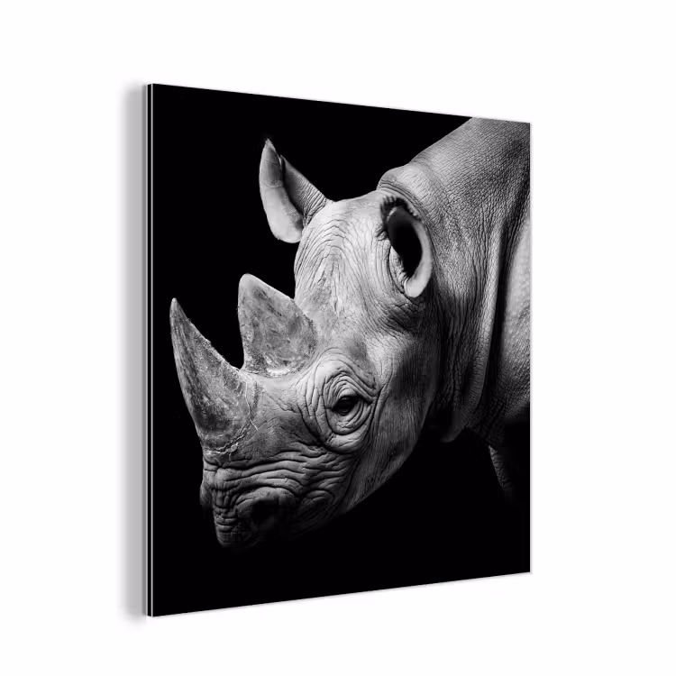 Dieren - Neushoorn - Zwart - Wit - Portret aluminium wit klein -3d