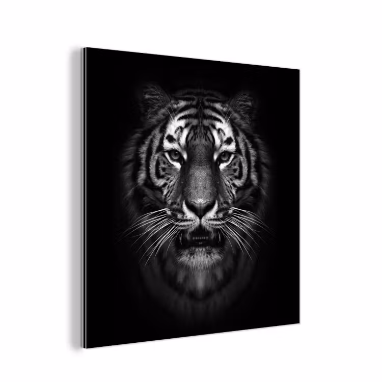 Tijger - Dieren - Zwart - Wit - Portret - Wild aluminium wit klein -3d