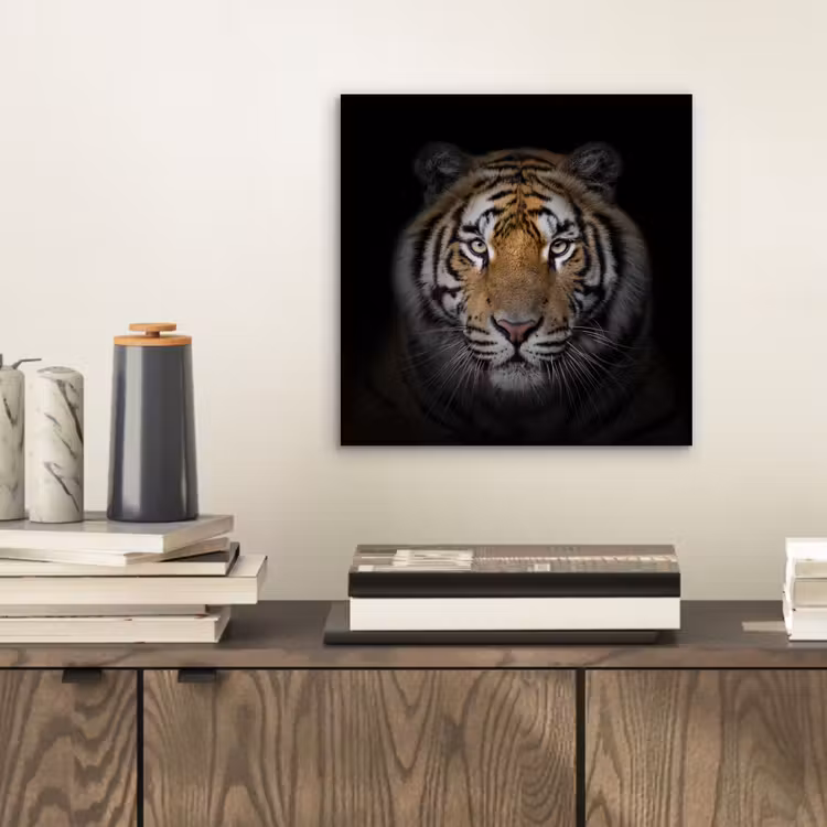 Tijger - Wilde dieren - Portret - Zwart - Dieren aluminium wit klein -sfeer1