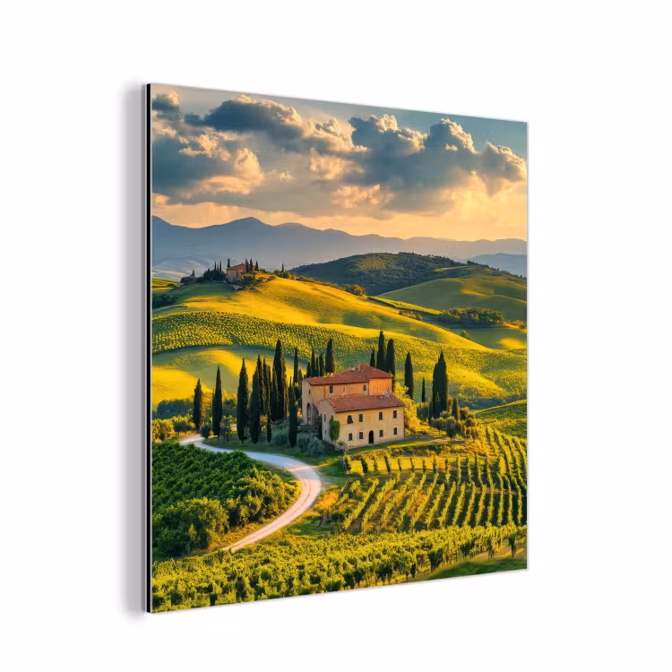 Toscane - Landschap - Wijngaarden aluminium wit klein -3d