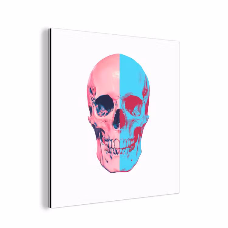 Schedel - Grafisch - Roze - Verdeeld aluminium wit klein -3d