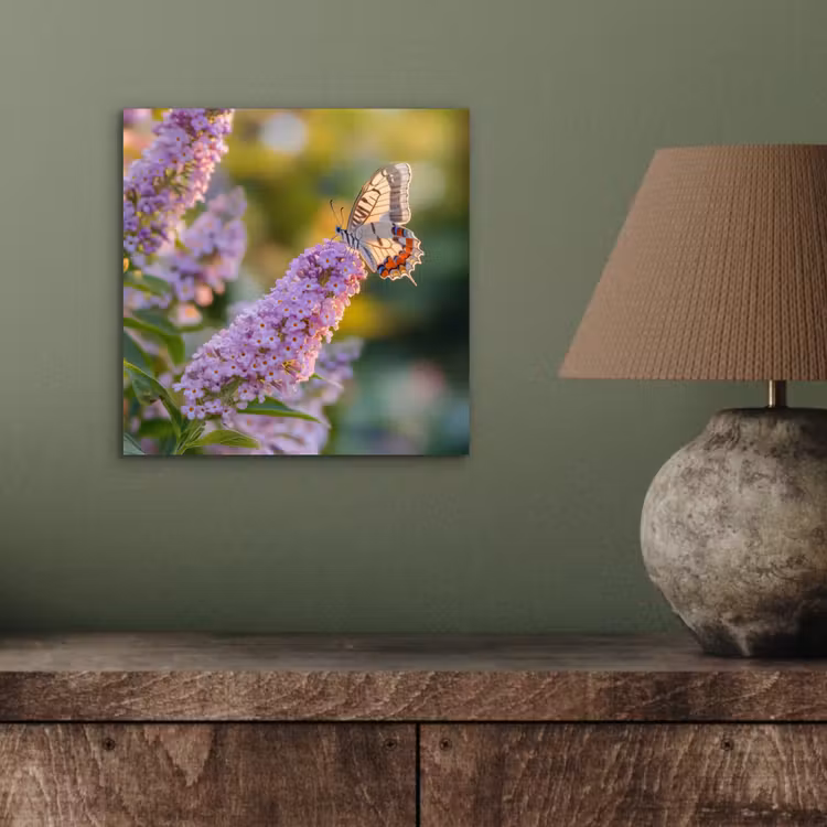 Sierlijke - Vlinder - Paarse - Bloemen aluminium wit klein -sfeer2