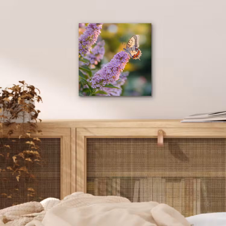 Sierlijke - Vlinder - Paarse - Bloemen aluminium wit klein -sfeer3