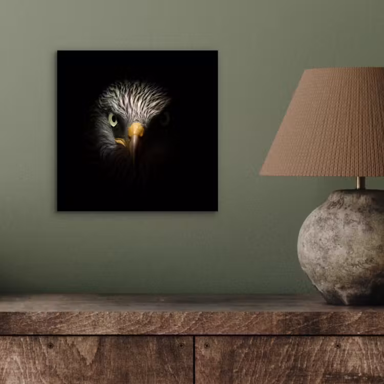 Vogel - Adelaar - Roofvogels - Oog - Snavel - Licht aluminium wit klein -sfeer2