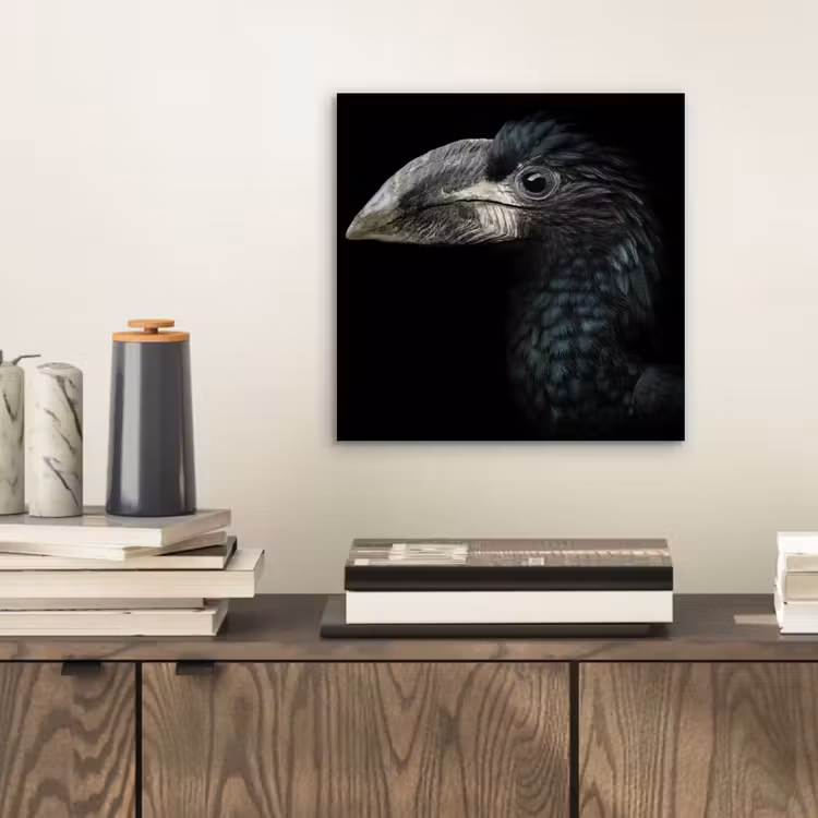 Vogel - Portret - Neushoornvogel - Zwart - Dieren aluminium wit klein -sfeer1