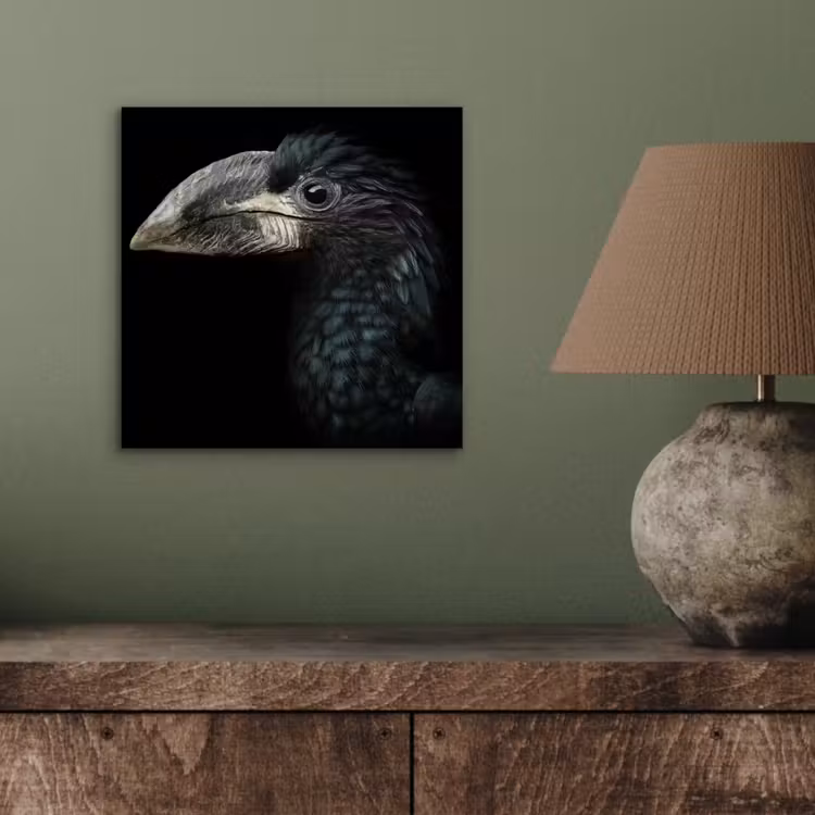 Vogel - Portret - Neushoornvogel - Zwart - Dieren aluminium wit klein -sfeer2