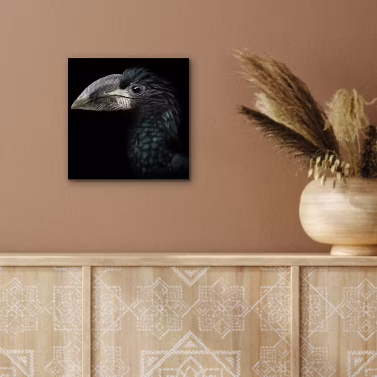 Vogel - Portret - Neushoornvogel - Zwart - Dieren aluminium wit klein -sfeer4