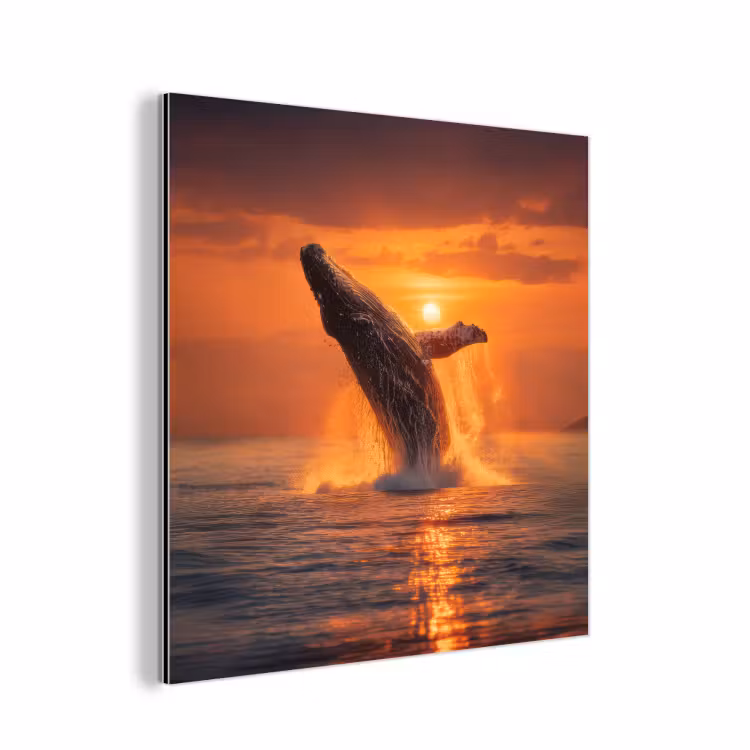 Walvis - Zon - Zee aluminium wit klein -3d