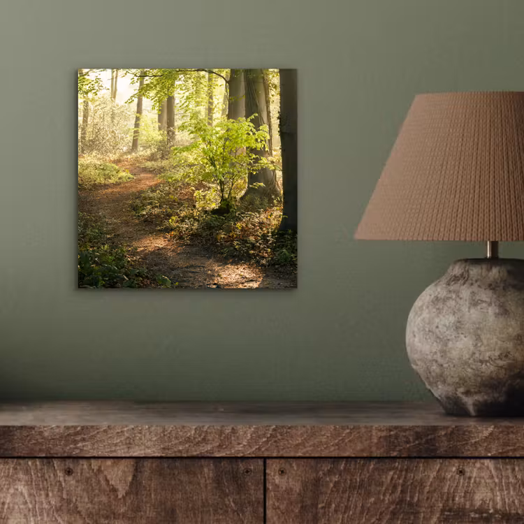 Bos - Bomen - Pad - Zon - Planten - Bladeren - Natuur aluminium wit klein -sfeer2