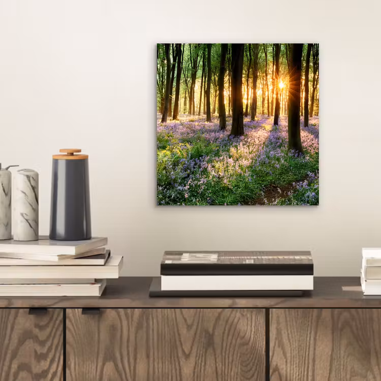 Bos - Bloemen - Lavendel - Zon - Paars - Natuur aluminium wit klein -sfeer1