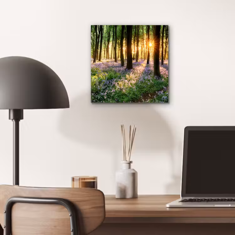 Bos - Bloemen - Lavendel - Zon - Paars - Natuur aluminium wit klein -sfeer5