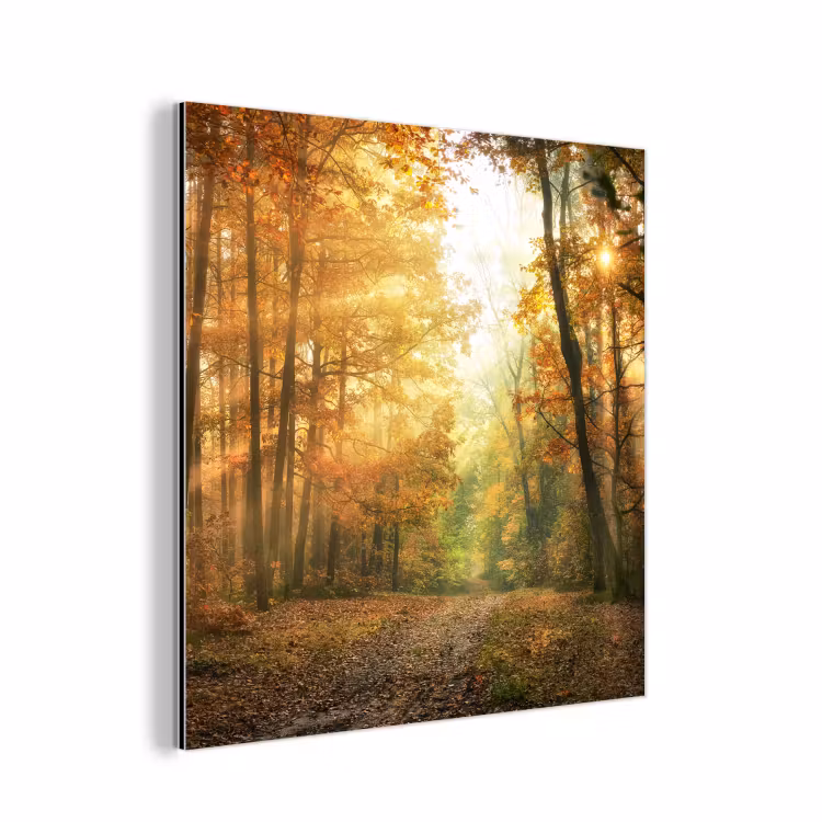 Bos - Herfst - Zon - Landschap - Natuur - Bomen - Bladeren aluminium wit klein -3d