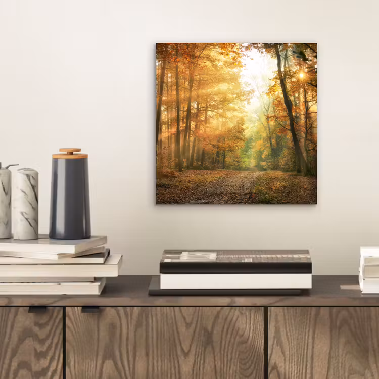 Bos - Herfst - Zon - Landschap - Natuur - Bomen - Bladeren aluminium wit klein -sfeer1