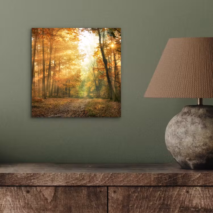 Bos - Herfst - Zon - Landschap - Natuur - Bomen - Bladeren aluminium wit klein -sfeer2