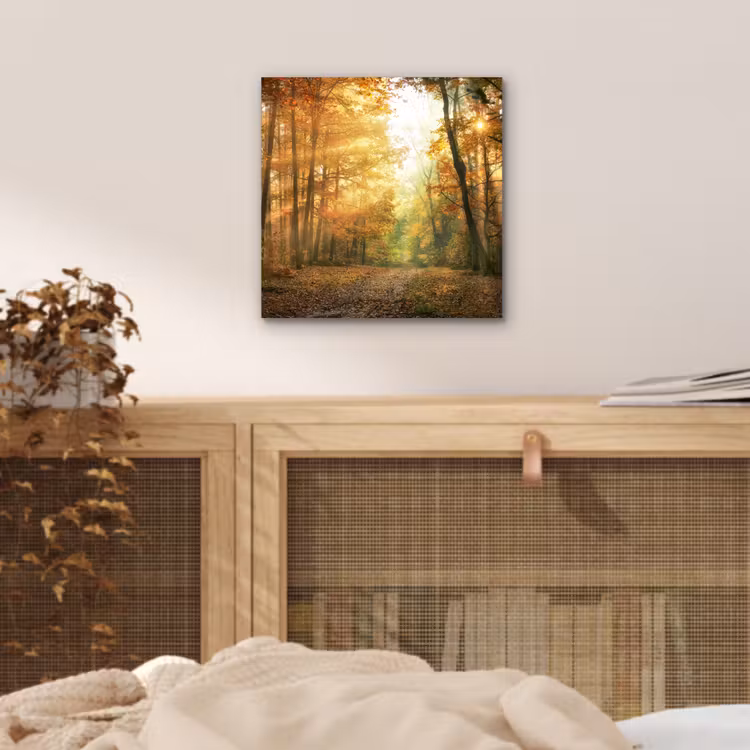Bos - Herfst - Zon - Landschap - Natuur - Bomen - Bladeren aluminium wit klein -sfeer3
