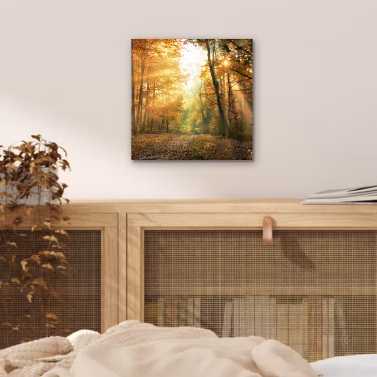 Bos - Herfst - Zon - Landschap - Natuur - Bomen - Bladeren aluminium wit klein -sfeer3